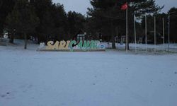 Manisa'da yüksek kesimlerde kar yağışı etkili oldu