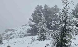 Muğla'da Göktepe beyaza büründü