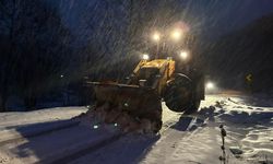 Nilüfer'de kar mesaisi