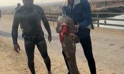 Olta yok, ağ yok: Karasu Çayı'nda çıplak elle yayın balığı avı