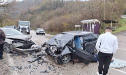 Ordu'da iki otomobil çarpıştı: 1 yaralı