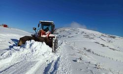 Ordu'nun bir ilçesinde eğitime kar engeli