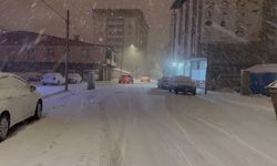 Patnos'ta kar yağışı ulaşımı aksattı, tırlar yolda kaldı