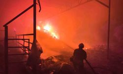 Samanlıktan yükselen alevler, besihaneye ulaşmadan kontrol altına alındı