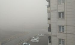 Şanlıurfa'da sis bulutu etkili oldu