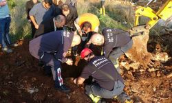 Seslerini küçük çocuk duydu, çalındı sanılan 2 koyun düştükleri 5 metrelik kuyudan kurtarıldı