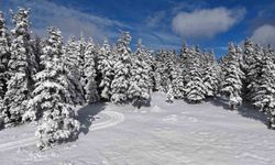 Sinop'tan kar manzaraları