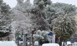 Siverek'te kar yağışı hayatı olumsuz etkiledi