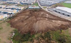 Sokak hayvanlarının yaşam alanı genişletiliyor