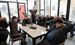 Talas'ın çınarları hayata hareket ediyor