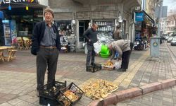 Tavşanlı'da Aralık ayı sonunda da Melki mantarı bereketi