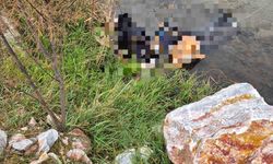 Trenin geçtiği köprüde hayatını kaybetti