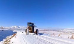 Van-Bahçesaray yolu ulaşıma kapatıldı