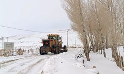 Van'da 389 yerleşim yerinin yolu kapalı