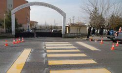 'Yerinde Çözüm' çalışmaları sürüyor