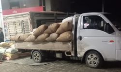 Yılbaşına günler kala fındık fiyatları yükselişe geçti