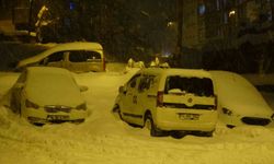 Yoğun kar ve tipi Bitlis'te hayatı olumsuz etkiledi