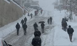 Yüksekova'da beyaz esaret: Vatandaşlar araçlarını bırakıp yürüdü