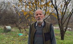 Zirai ilaç yüzünden milyonlarca arısı kovana dönemeden öldü