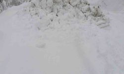 Zonguldak'ta ulaşıma kapanan 53 köy yolunu açma çalışmaları sürüyor