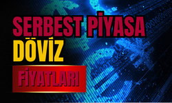 Serbest Piyasada Döviz Fiyatları