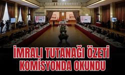 Terörsüz Türkiye'de kritik aşama! İmralı tutanağı özeti komisyonda okundu