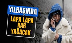 İl il açıklandı: Yılbaşında lapa lapa kar yağacak!