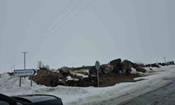 Adilcevaz'da kuduz alarmı: Bir köy karantinaya alındı