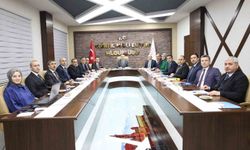 Ağrı Valisi Bozkurt, Eleşkirt'teki çalışmaları yerinde inceledi