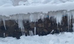 Ağrı'da dondurucu soğuk etkisini sürdürüyor