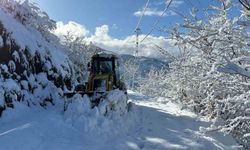 Akçaabat'ta karla mücadele