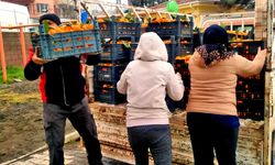 Alaçatı'dan Hatay'a dayanışma köprüsü