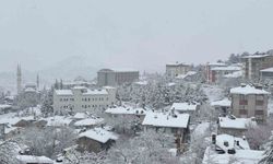 Arapgir beyaza büründü