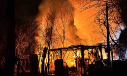 Ardiye yangını eve sıçramadan söndürüldü