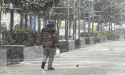 Arnavuköy'de kar yağışı