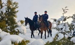 Atlı jandarmadan kış nöbeti: Zorlu hava şartlarında güvenlik devam ediyor