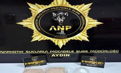 Aydın'da 100 kilo değerinde uyuşturucu hammaddesi ele geçirildi: 2 kişi tutuklandı