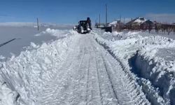 Aydınlar Belediyesi köylülerin imdadına yetişti