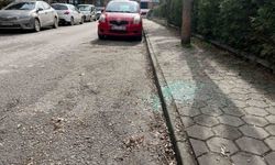 Aynı sokak üzerinden beş aracın camlarını kırıp hırsızlık yaptılar