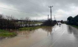 Ayvacık'ta sağanak yağış tarım arazilerini sular altında bıraktı