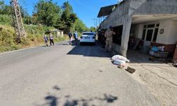 Babaanne ve iki torununun öldüğü cinayetin sanığı, mahkemede kendini savundu
