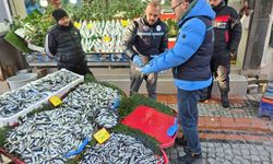 Balık tezgâhları yakın takipte