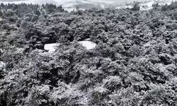 Başakşehir Şamlar Tabiat Parkı beyaza büründü