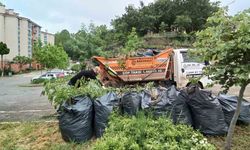 Başiskele'de yüzde 22 yakıt tasarrufu