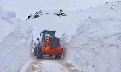 Batman'da karla mücadele çalışmaları