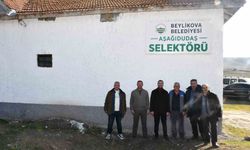 Beylikova Belediyesi'nden Aşağıdudaş Mahallesi'ne selektör tesisi