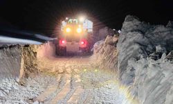 Beytüşşebap'ta son köy yolu açıldı