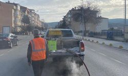 Bilecik'te haşerelere karşı kışlık mücadele