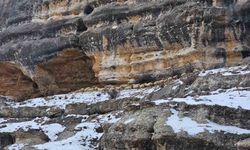 Bin 600 rakımda sürülerin yolculuğu kamerada