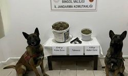 Bingöl'de uyuşturucu operasyonu: 3 gözaltı